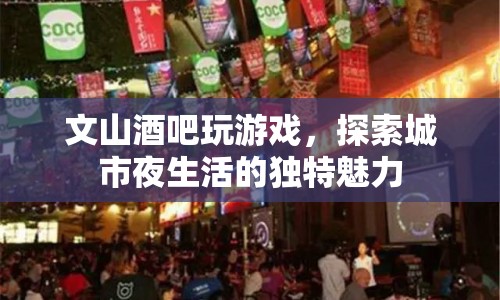 探索城市夜生活魅力，文山酒吧的趣味游戲