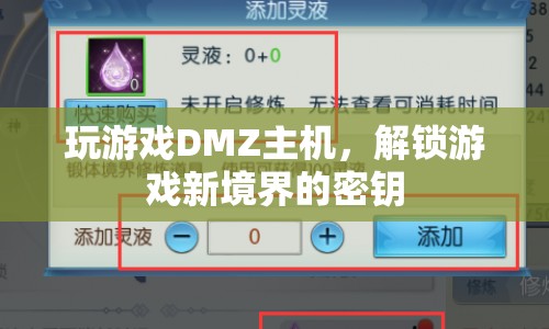 解鎖游戲新境界，DMZ主機如何成為你的游戲利器？