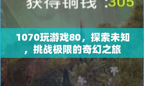 1070顯卡，挑戰(zhàn)游戲極限的奇幻之旅