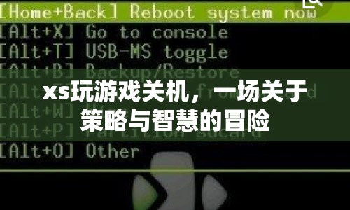 一場策略與智慧的冒險，XS游戲關(guān)機(jī)之旅