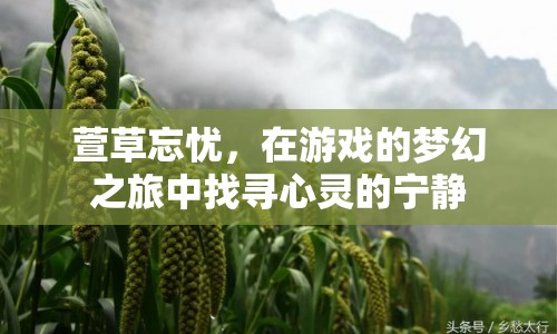 萱草忘憂，夢幻之旅中的心靈寧靜