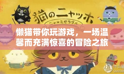 懶貓帶你開啟溫馨驚喜冒險之旅