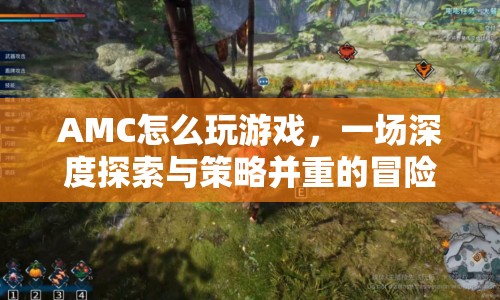 AMC，深度探索與策略并重的冒險之旅