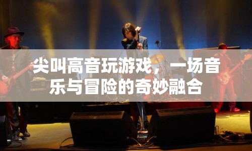 尖叫高音玩游戲，音樂與冒險(xiǎn)的奇妙融合之旅