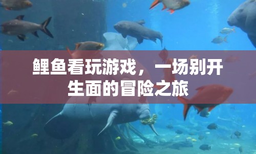 鯉魚看玩游戲，一場(chǎng)別開(kāi)生面的冒險(xiǎn)之旅