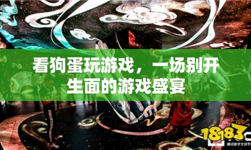 狗蛋游戲盛宴，精彩紛呈的娛樂盛宴