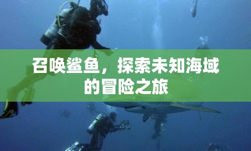 探索未知海域，召喚鯊魚(yú)，開(kāi)啟驚險(xiǎn)冒險(xiǎn)之旅