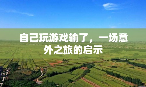 一場意外之旅的啟示，游戲輸?shù)舻牟粌H是勝負(fù)