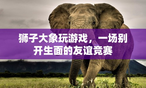 獅子大象友誼競賽，一場別開生面的游戲盛宴