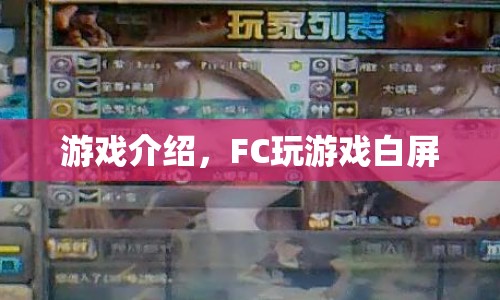 FC游戲白屏問題解析  第1張