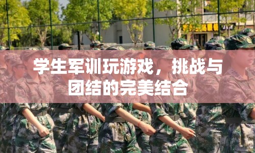 軍訓(xùn)游戲，挑戰(zhàn)與團(tuán)結(jié)的碰撞