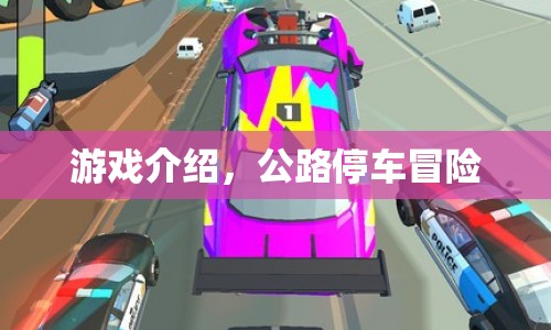 公路停車冒險(xiǎn)，驚險(xiǎn)刺激的駕駛挑戰(zhàn)