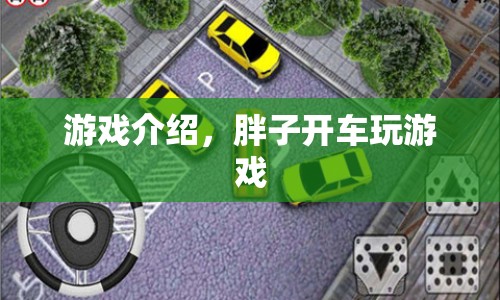 胖子開車游戲介紹  第1張