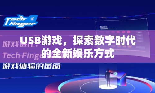 USB游戲，數(shù)字時代的全新娛樂體驗