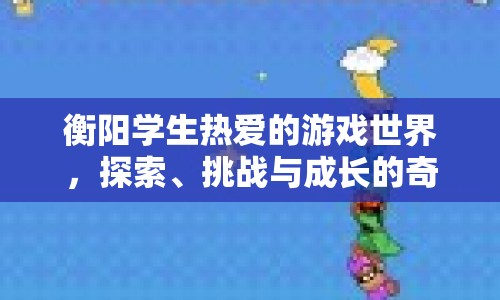 衡陽學(xué)生游戲世界，探索、挑戰(zhàn)與成長的奇妙之旅