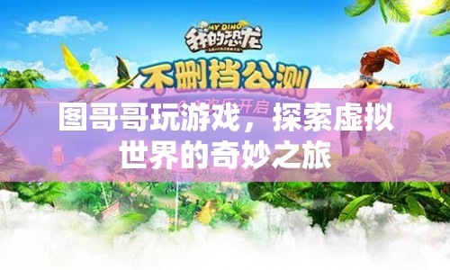 圖哥哥探索虛擬世界的奇妙之旅  第1張