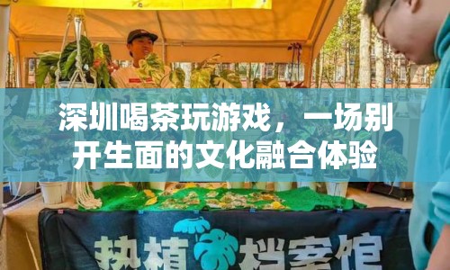 深圳，喝茶玩游戲，文化融合新體驗