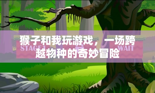 猴子與我，一場跨越物種的奇妙冒險(xiǎn)