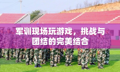 軍訓游戲，挑戰(zhàn)與團結的完美碰撞