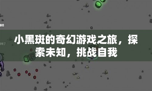 小黑斑的奇幻冒險，探索未知，挑戰(zhàn)自我