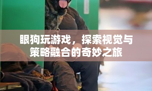 眼狗，探索視覺與策略融合的奇妙之旅