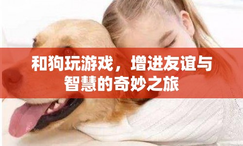 與狗共舞，增進(jìn)友誼與智慧的奇妙之旅  第1張