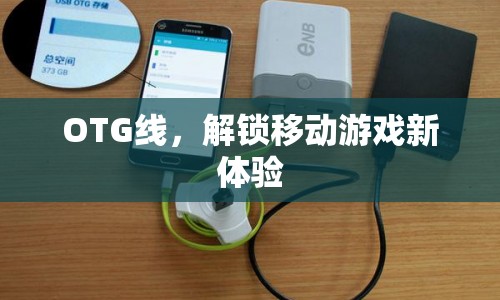 OTG線解鎖移動游戲新體驗