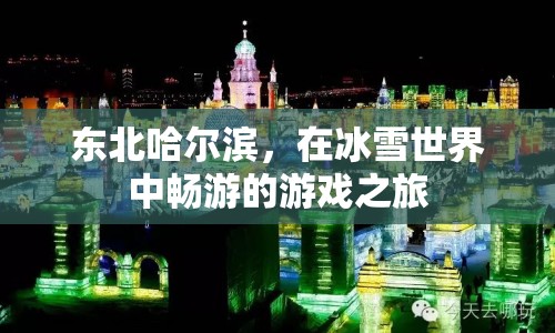 哈爾濱冰雪世界，暢游冬日游戲之旅