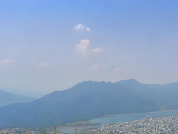 凝礦蘭種植藝術(shù)，打造我的世界中的獨特景觀