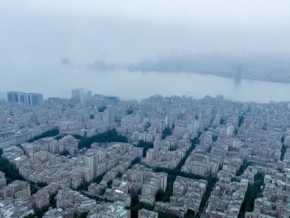 我的世界無攻擊力怪物，和諧共存的冒險(xiǎn)之旅